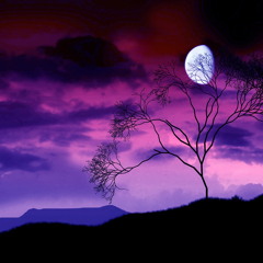 Moonlight stroll ..