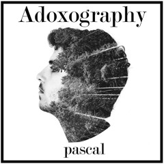 Adoxography