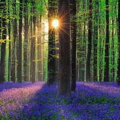 Mixa♡Semi-Acoustic♡Piano♡Chillstep♡Mellowisher'z ♡Tracks♡Artists