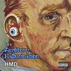 Auditory Hallucinations (Prod by Royal Audio Tunes)