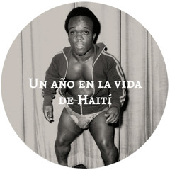 Un Año En La Vida De Haití I