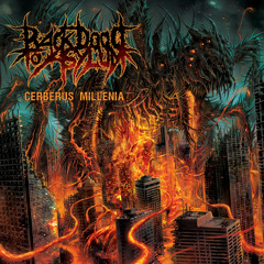 Back Door To Asylum - Gravity Inverse (2014)