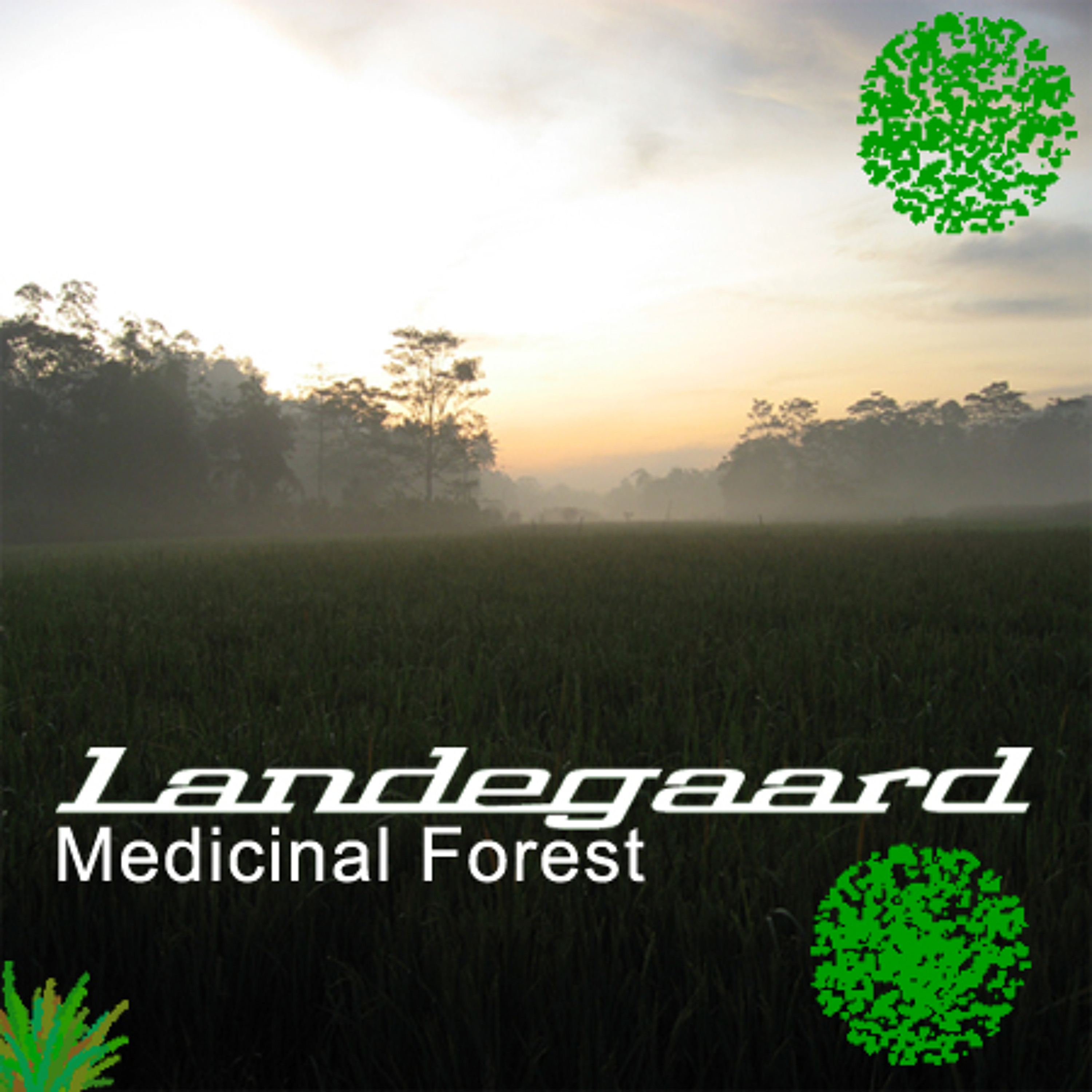 Medicinal Forest episode artwork