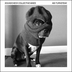 Soundcheck Collective Mixes #20 - Turnsteak