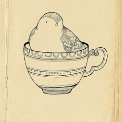 ACID SOUL Vol.1 By Emir E. Mardan