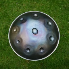 Handpan prototype, Jan Borren