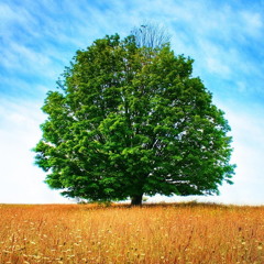 Rome Wasn't Built in a Day [Guest Lead Vocalist: Eleanor Grace]