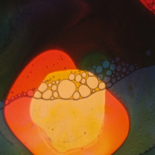 The Orange Drop - Haven't You Realized