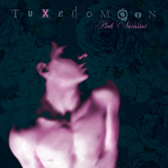 Tuxedomoon - "Triumphant Procession" (from the album "Pink Narcissus")