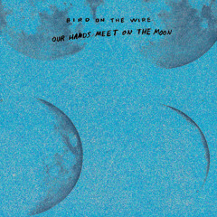 Bird On The Wire - Noise of a Quiet Man (nuño gomez remix)