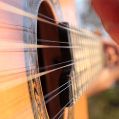 Tropeiro na Cidade - Domingos de Salvi