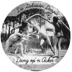 #10 Gebrüder Dargus (Bogdan & Peter) - Danz op'n Acker (Festivalsommer 2014 )