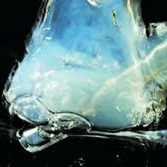 BXNGXD PRD ICDMAW VMK-CLR