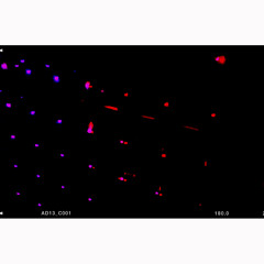 Me Tenia Que Hacer Respetar