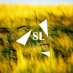 Victor Démé - Djôn'Maya (Schweigling Edit)