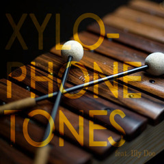 Xylophone Tones (feat. Illy Doe) Produced by [B] Rogers