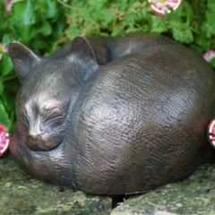 Feline funeral (b007 mix) TheCatIsDead by @Sarnuch