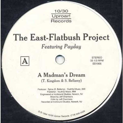 The East Flatbush Project - A Madman's Dream /Can't Hold It Back