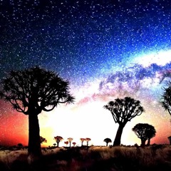 Emperor -  She Said (SubSlicer & Trail Remix )Free Download