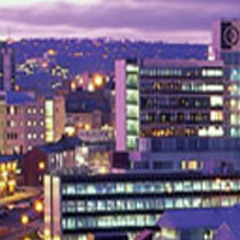 Sheffield Live - Ann D ft Robert Roos (14th of September)