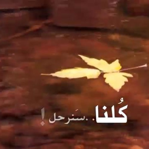 قصة #توبة شاب استعبدته المعاصى ! د.حازم شومان