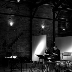 I Stood on the Shore and Looked up at the Birds