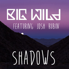 Shadows ft. Josh Rubin