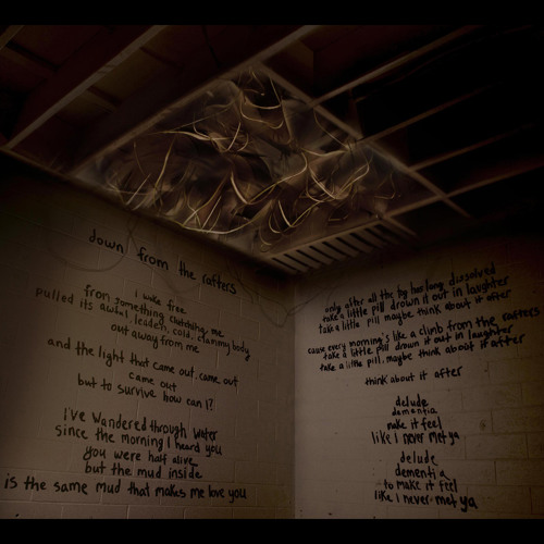 Down From the Rafters (The Field Remix)