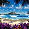 DeeJay Neps™ - Seni Lili (Reggae Blend)