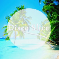 Disco Slice #28