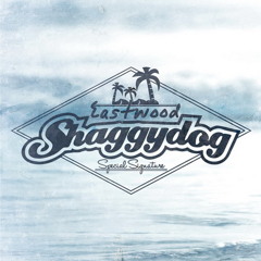 Shaggydog - Lagu Reggae