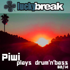 Piwi - DnB mix 08/14