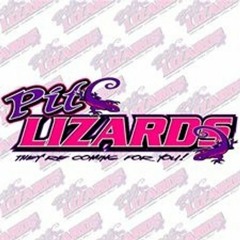 D Ham - Pit Lizards (Prod. By G Baby)