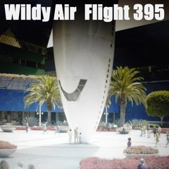 STBB [ Wildy Air Flight ] 395