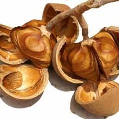 Feitura de sabão dicuada - saberes do povo kalunga