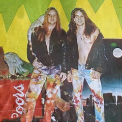 Stone Lizzards/Sweet Life