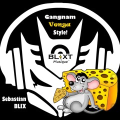 Gangnam Venga Style (Sebastian Blix Quik Re Fix)