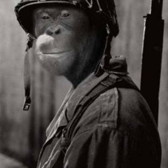 B1t Crunch3r - Run For Safety(Junglewar Dub)