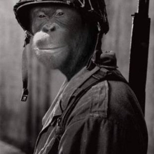 B1t Crunch3r - Run For Safety(Junglewar Dub)