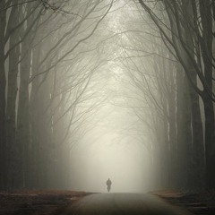 Clear the Fog (Teaser)