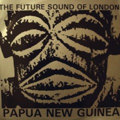 The Future Sound of London - Papua New Guinea (Wogbox Remix)