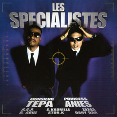 Les Spécialistes (Princess Anies & Tepa), "On fout le feu" (1999)