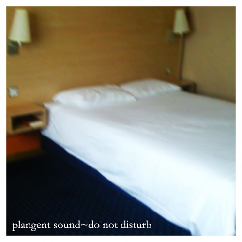 Plangent Sound- Do Not Disturb