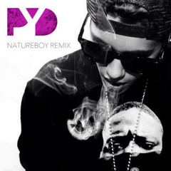 Justin Bieber - PYD (Natureboy Edit)