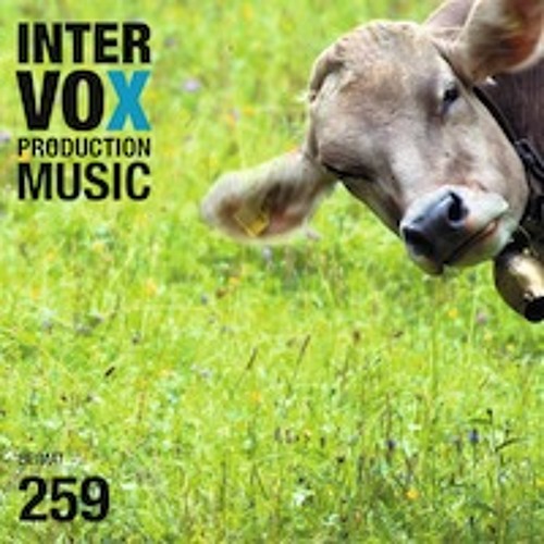 Maul Drum Groove -  Intervox