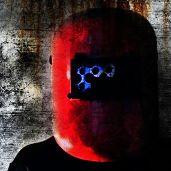 Walking With The Hedgehog Elders