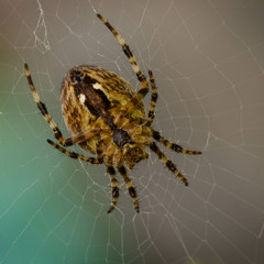 BestOfSound