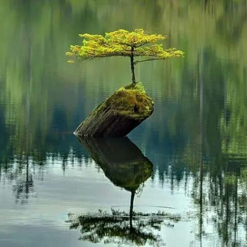 قصة الشيخ محمد العريفي مع سائق الاجرة المصري