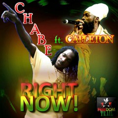 Right Now - Chabe Feat. Capleton [Freedom Trail/VPAL Music 2014]