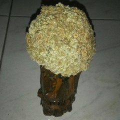 Fiersha besari cover yani dama and fahry " waktu yang salah "